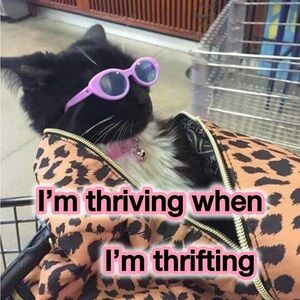 Meet your Posher, Callie